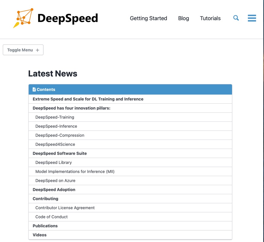 DeepSpeed